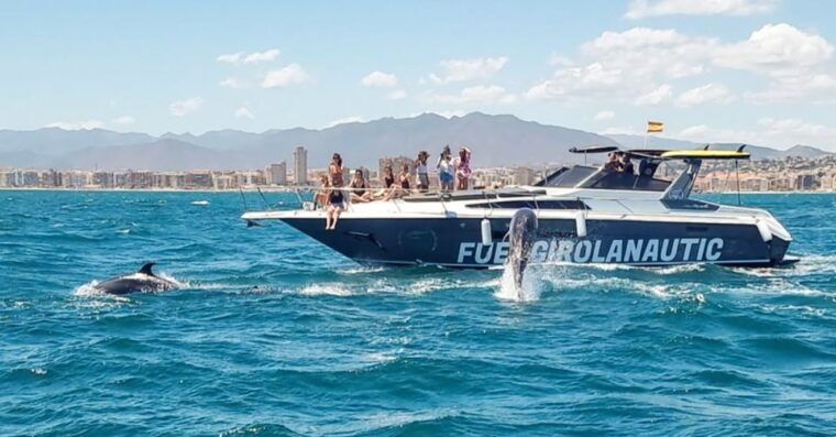 fuengirola-dolphin-watching-by-yacht-with-snacks-and-drinks