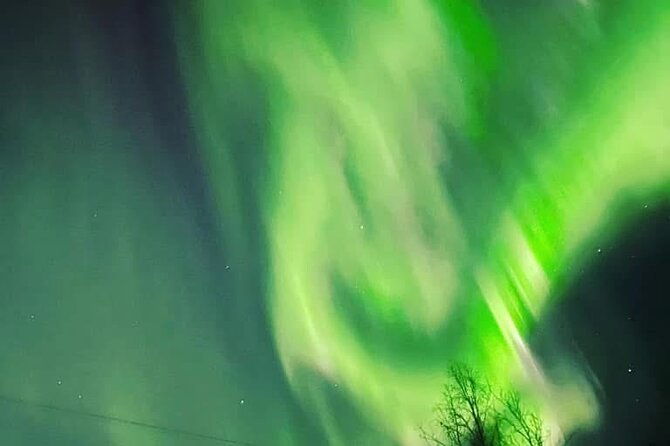 full-alaskan-experience