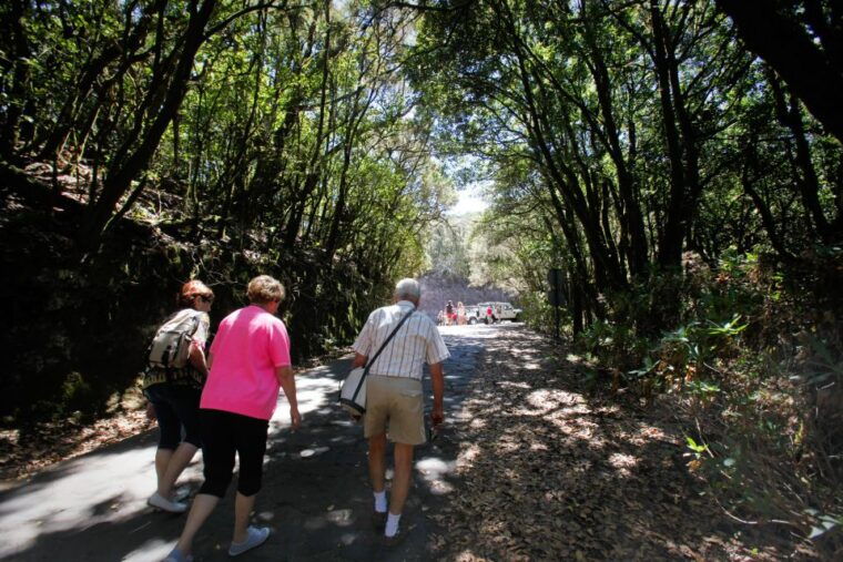 full-day-gomera-jeep-safari-from-puerto-de-la-cruz