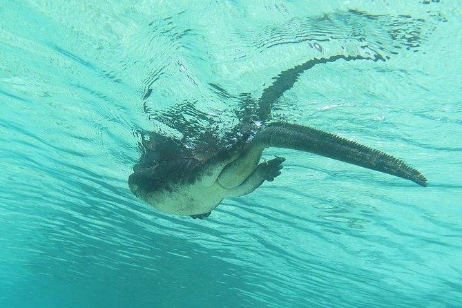 full-day-santa-fe-and-playa-escondida-with-snorkeling-and-lunch-included