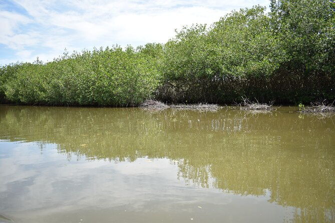 full-day-tour-of-the-mangrove-swamp-and-mud-volcano-in-cartagena