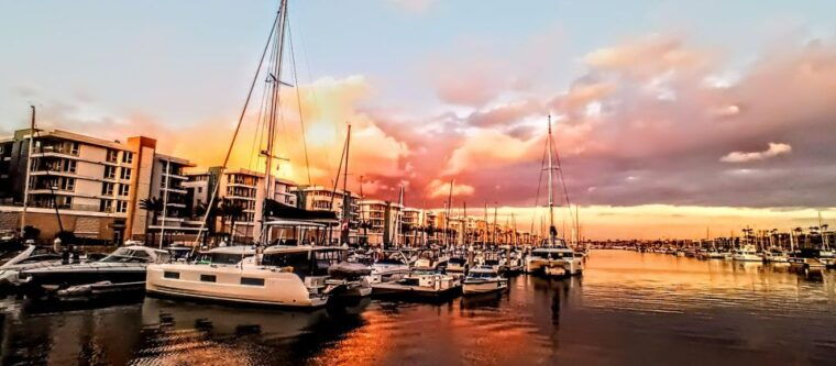 fun-adventure-party-boat-cruise-wine-charcuterie-sealions