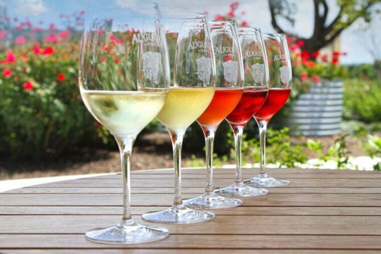 funk-zone-wine-food-tour
