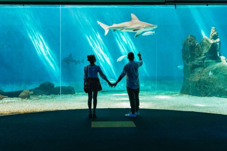 genoa-aquarium-of-genoa-entry-ticket