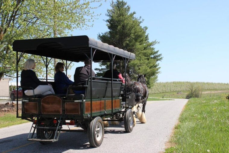 gettysburg-horse-drawn-carriage-tour-countryside-orchards