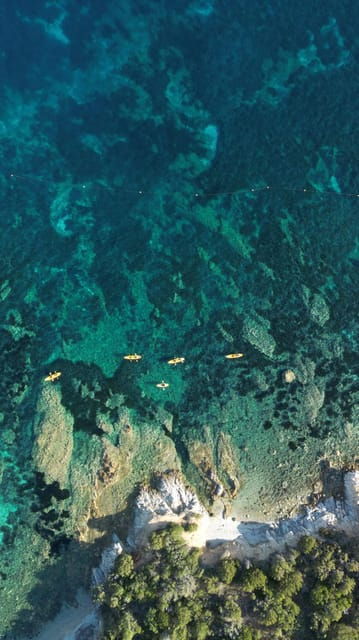 golfo-aranci-german-guided-kayak-tour-aperitif-dolphins