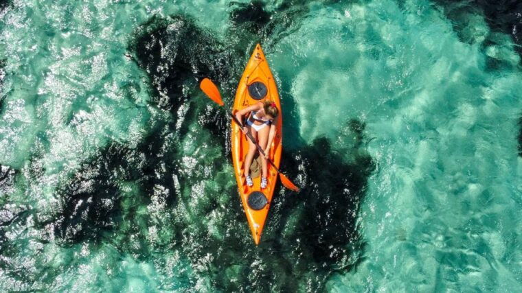 golfo-aranci-kayak-tour-with-dolphins-and-aperitif