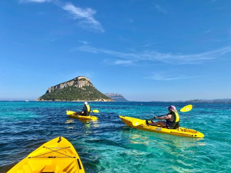 golfo-aranci-small-group-kayak-tour-with-aperitif-dolphins