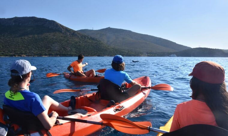 golfo-aranci-sunrise-dolphin-kayak-tour-with-breakfast