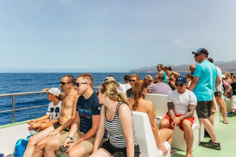 gran-canaria-dolphin-and-whale-watching-cruise