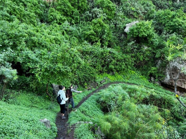 gran-canaria-green-witchcraft-in-the-magic-island