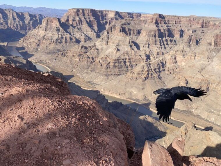 grand-canyon-hoover-dam-private-tour-from-las-vegas