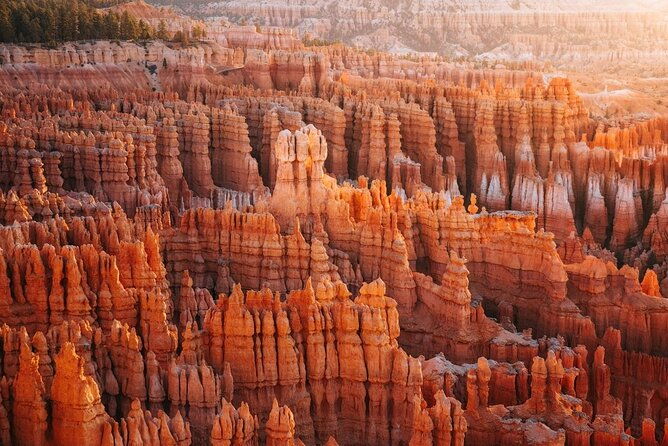 grand-tetonyellowstone-national-parklas-vegas-8day-tour-from-la