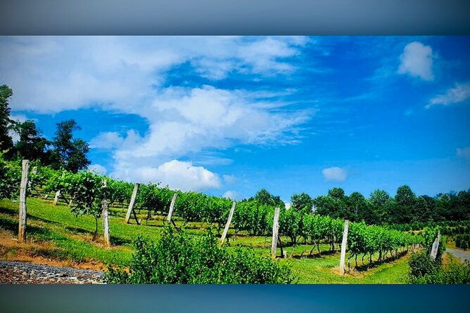 grandfather-mountain-private-wine-dine-tour-from-asheville