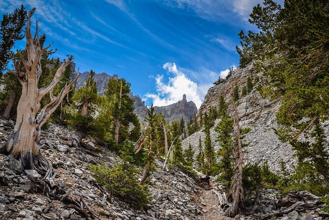 great-basin-national-park-audio-guided-tour