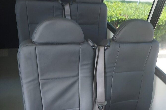 group-transportation-houston-to-galveston-cruise-hotels-16-pax