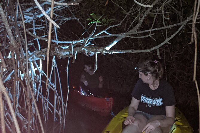 guided-bioluminescence-night-kayaking-adventure-in-belize