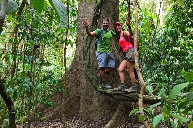 guided-hiking-tour-by-the-mystic-ebano-rainforest-in-costa-rica