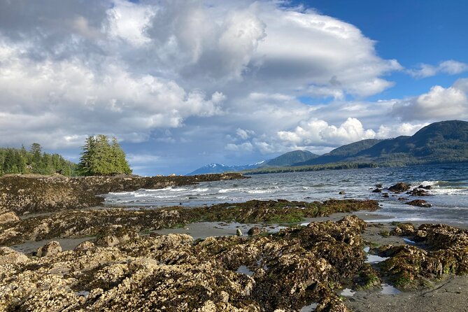 guided-tour-of-ketchikans-top-attractions