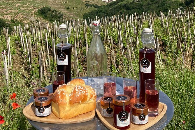 guided-tour-of-the-coteaux-cote-rotie-for-parents-and-children-duos