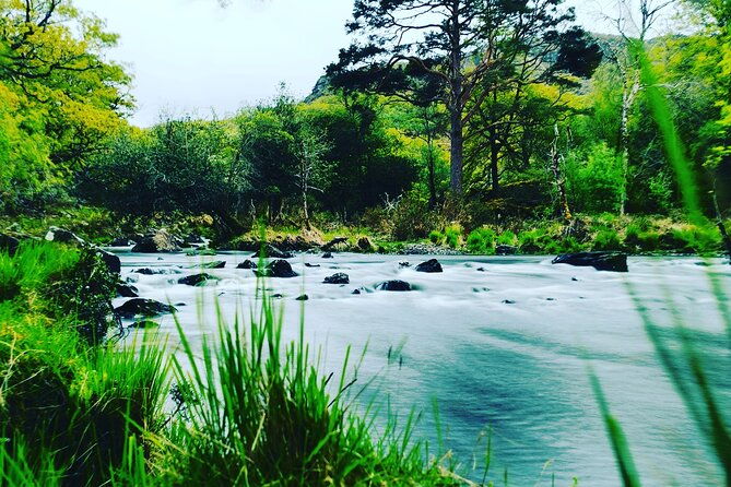 guided-tour-the-ring-of-kerry-skellig-ring-and-valencia-island