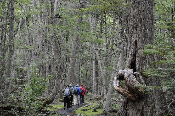 half-day-small-group-tierra-del-fuego-national-park-tour