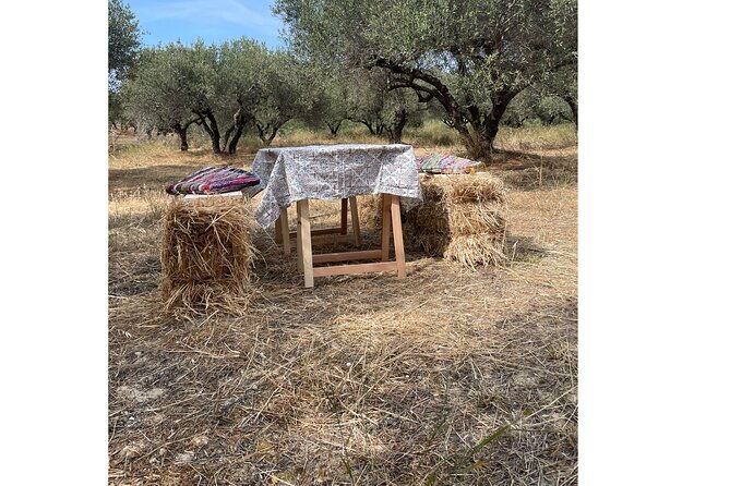 heraklionolive-dragon-fruit-farm-tour-cretan-farmers-brunch