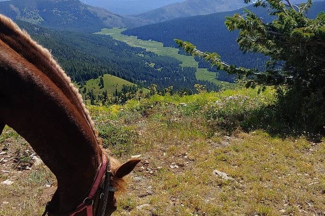 high-mountain-scenic-trail-rides-in-the-teton-range