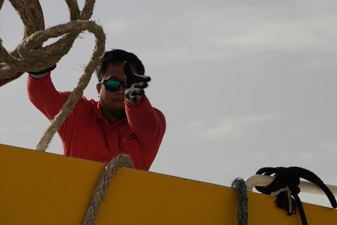 highspeed-catamaran-crossing-between-malta-and-gozo