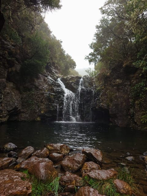 hike-in-rabacal-in-a-different-way