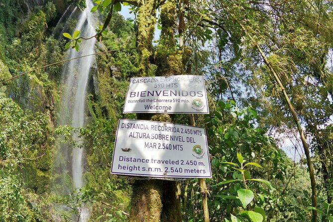hike-to-the-highest-waterfall-in-colombia-la-chorrera