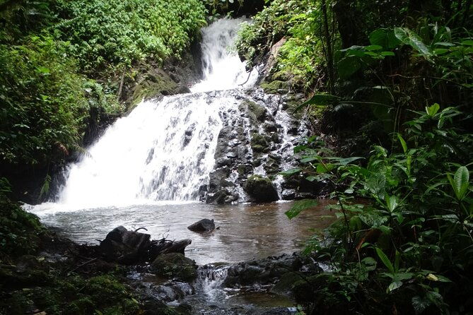 hiking-experience-in-el-quetzal-private-reserve