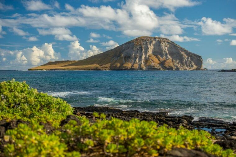 honolulu-3-hour-sunrise-photos-tour-with-malasadas