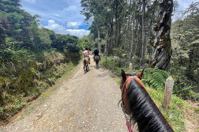 horseback-ride-around-medellins-beautiful-countryside
