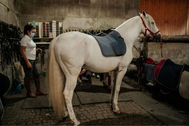 horseback-riding-tour-3