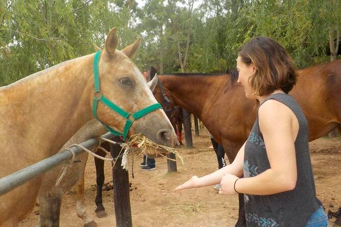 horseback-riding-tour-and-polo-in-argentine-countryside