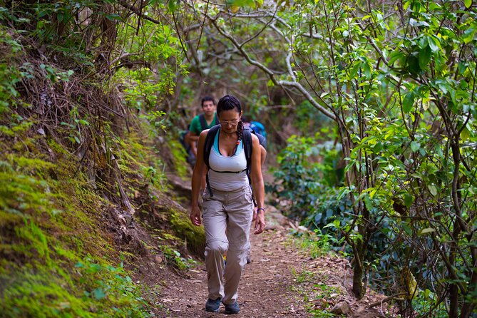 inca-jungle-4-days-and-3-nights-premium