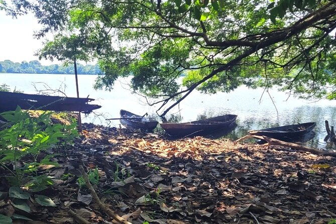iquitos-amazon-adventure-nature-and-wildlife-3-days