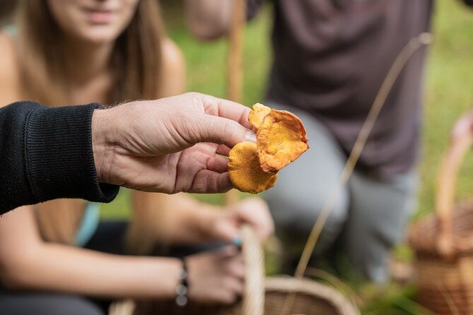 it-smells-like-mushrooms