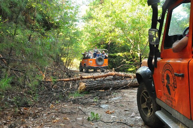jeep-safari-to-national-park-from-kusadasi-port-hotels