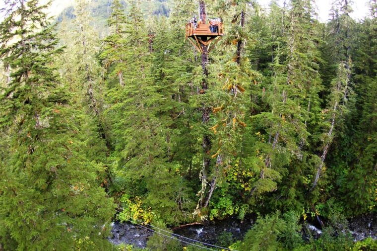 juneau-alpine-zipline-adventure