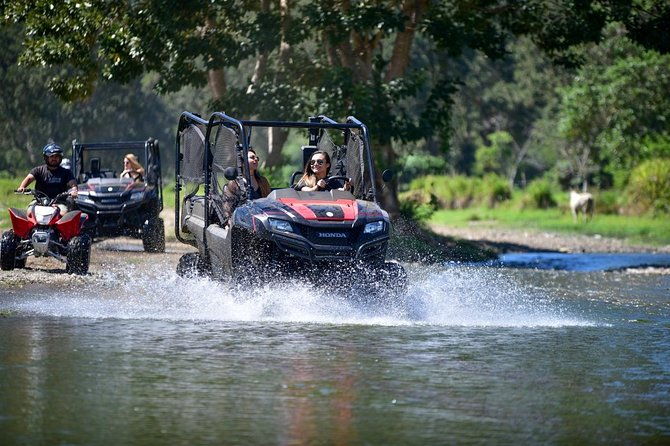 jungle-river-buggy-exploration-private-tour