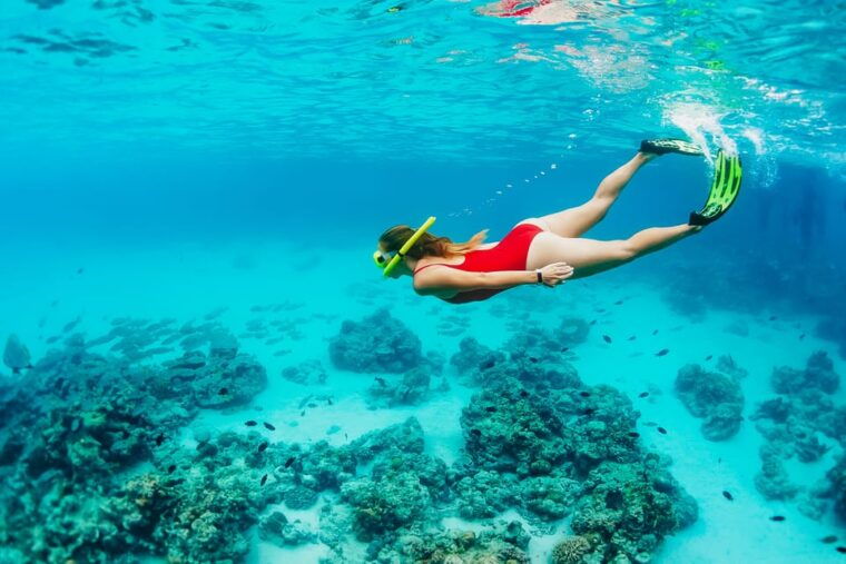 kaanapali-beach-express-snorkel-trip