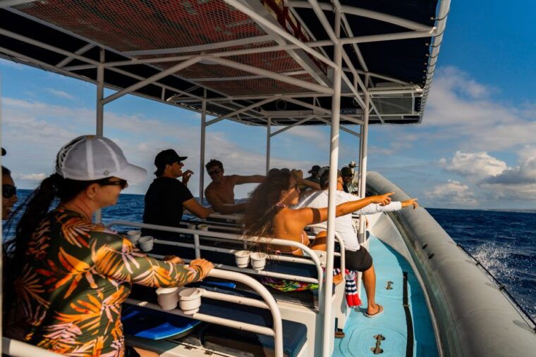 kailua-kona-big-island-morning-snorkeling-tour-with-lunch