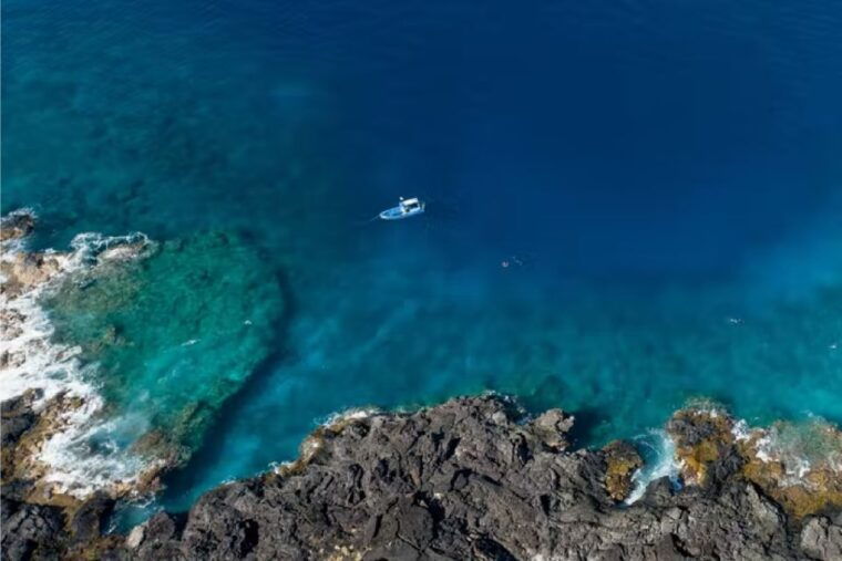 kailua-kona-dolphin-watch-speedboat-snorkel-cruise-and-bbq