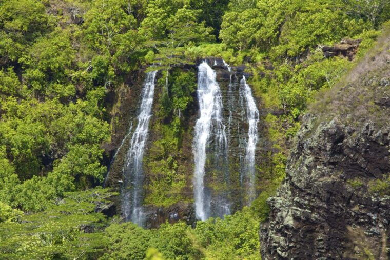 kauai-northeast-tour-fern-grotto-river-cruise-lighthouse