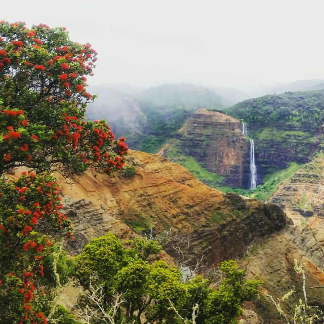 kauai-waimea-canyon-koke%ca%bbe-state-park-private-tour