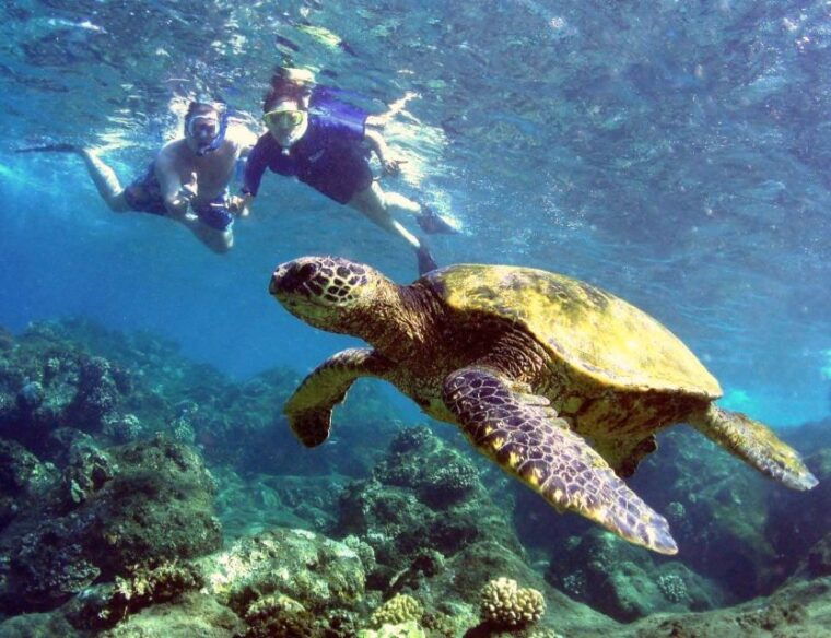 kayak-and-snorkel-west-maui-at-olowalu