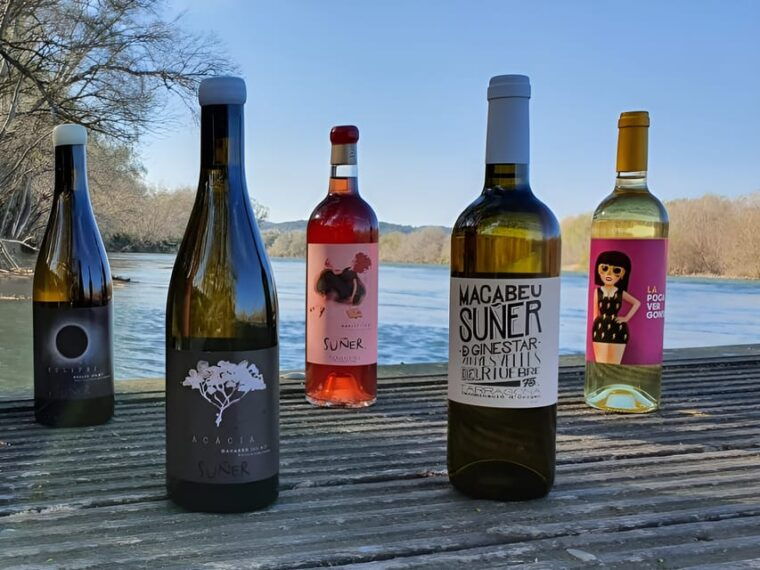kayak-tour-and-wine-tasting-at-the-ebro-river