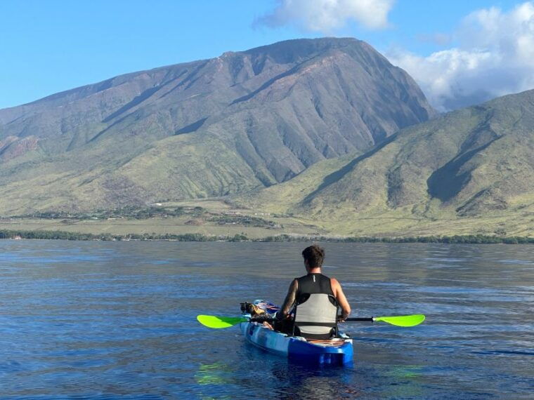kayak-whale-watch-and-snorkel-at-turtle-town